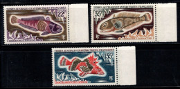 Territoire Antarctique Français TAAF 1971 Mi. 68-70 Neuf ** 100% Poissons - Ungebraucht