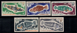 Territoire Antarctique Français TAAF 1971 Mi. 60-64 Neuf ** 100% Poissons, Antarctique - Unused Stamps