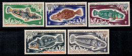 Territoire Antarctique Français TAAF 1971 Mi. 60-64 Neuf ** 100% Poissons, Antarctique - Ongebruikt