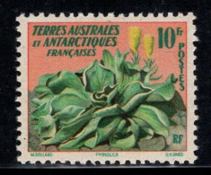 Territoire Antarctique Français TAAF 1959 Mi. 13 Neuf ** 100% 10 Fr, Plante - Neufs