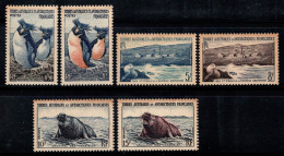 Territoire Antarctique Français TAAF 1956 Mi. 2-7 Neuf ** 80% Pingouins, Phoques... - Unused Stamps
