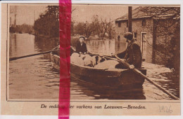 Leeuwen Beneden - Redding Varkens  Na Overstromingen - Orig. Knipsel Coupure Tijdschrift Magazine - 1926 - Ohne Zuordnung