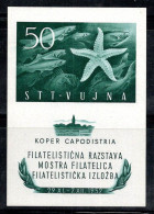 Trieste B 1952 Sass. Bl.3 Bloc Feuillet 100% Neuf ** 50 J, Exposition Philatélique, Koper - Ongebruikt