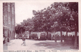 69 - Rhone -  POLEYMIEUX Au MONT D OR ( Lyon )  - Hotel Peytel - La Terrasse - Other & Unclassified