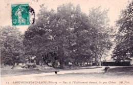 58 - Nievre -  SAINT HONORE Les BAINS -  Parc De L Etablissement Thermal - Les Gros Chenes - Saint-Honoré-les-Bains