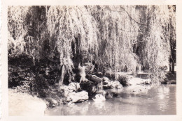 Photo 9.0 X 6.3 -  PAU   (64 ) Le Jardin Public - Aout 1934 - Orte