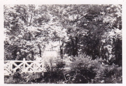 Photo 9.0 X 6.3 -  PAU   (64 ) Le Jardin Public - Aout 1934 - Orte