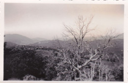 Photo 8.5 X 5.70 -  Corse- ZONZA (20) - Paysage 1951 - Places