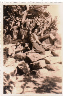Photo 8.5 X 5.70 -  PORTO VECCHIO (20) Pose Dans Le Parc - 1951 - Personnes Anonymes
