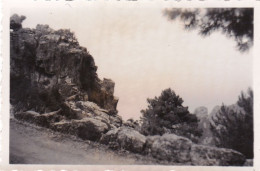 Photo 8.5 X 5.70 -  Corse- Calanques De PIANA (20) 1951 - Places