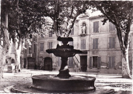 13 - Bouche Du Rhone -  SALON De PROVENCE - Place Louis Blanc - Salon De Provence
