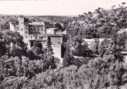 13 - Bouche Du Rhone -  SALON De PROVENCE - Le Chateau De La Barben - Salon De Provence