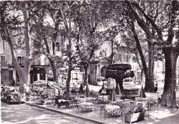 13 - Bouche Du Rhone -  SALON De PROVENCE - La Fontaine Moussue Et La Place Croustillat - Salon De Provence