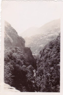 Photo 9.00 X 6.00 - Gave De Pau  (65)  - Entre Lourdes Et Luz - 6 Aout 1934 - Lieux