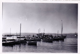 Photo 6.00 X 8.5 - LE LAVANDOU - Le Port - Juillet 1951 - Plaatsen