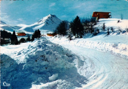 74 - Haute Savoie -  BELLEVAUX - Plateau D Hirmentaz - Les Chalets - Bellevaux