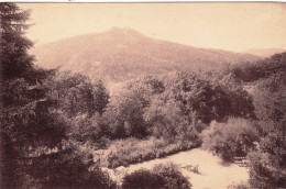 63 - Puy De Dome - VIGINET SAINT NECTAIRE - La Vue Des Fenetres - Altri & Non Classificati