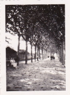 Photo 6.5 Cm X4.5 Cm - PAU - Boulevard Barbanegre  - Aout 1934 - Plaatsen