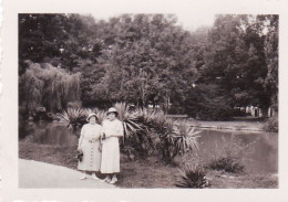 Photo 6.5 Cm X4.5 Cm - PAU - Jardin Louis Philippe  - Aout 1934 - Orte