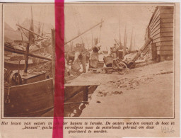 Ierseke - Lossen Oesters In De Haven - Orig. Knipsel Coupure Tijdschrift Magazine - 1926 - Ohne Zuordnung