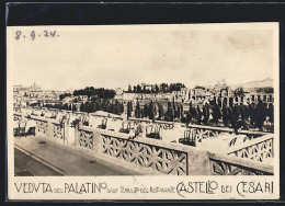 Cartolina Roma, Veduta Del Palatino Dalla Terrazza Del Ristorante Castello Dei Cesari  - Andere & Zonder Classificatie