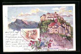 Lithographie Salzburg, Schloss-Panorama, Salzburger Stier  - Sonstige & Ohne Zuordnung