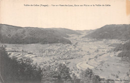 88 VALLEE DE CELLES VUE SUR RAON LES LEAU - Sonstige & Ohne Zuordnung