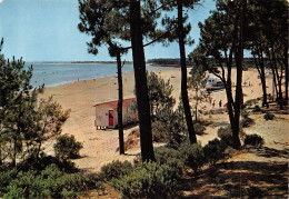 17 L ILE D OLERON SAINT TROJAN LA PLAGE DE GATSEAU - Ile D'Oléron