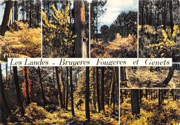 40 FORET LANDAISE - Other & Unclassified