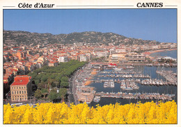 6 CANNES - Cannes