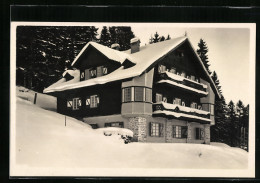 AK Puchenstuben, Villa Weinberger Im Schnee  - Autres & Non Classés