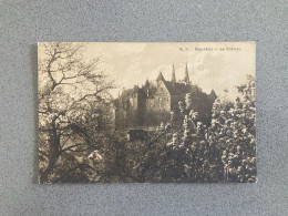 Neuchatel - Le Chateau Carte Postale Postcard - Neuchâtel