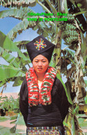 R418978 No. 844. Yao Girl. One Of The Hill Tribes At Old Chiengmai Cultural Cent - Monde