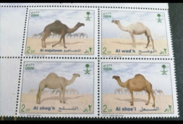 Saudi Arabia  2008 ISSUE Camels Block . 1V  MNH - Other & Unclassified