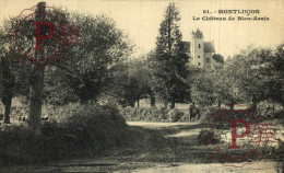 FRANCIA. FRANCE. 03 ALLIER MONTLUÇON LE CHÂTEAU DE BIEN ASSIS - Montlucon