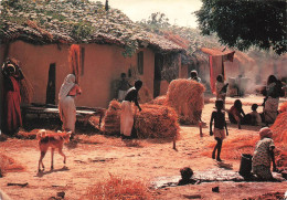 INDE - Inde - Photo Claude Sauvageot - Animé - Riz - Paille - Villageois - Village - Carte Postale - Inde