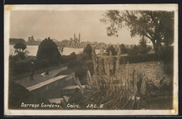 CPA Cairo, Barrage Gardens  - Other & Unclassified