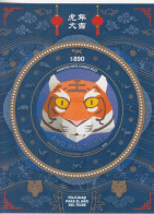 2022 Argentina Year Of The Tiger  Souvenir Sheet MNH - Nuevos