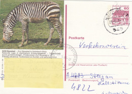 Deutschland. Bildpostkarte 5450 NEUWIED - Zebra Im Zoo, Wertstempel 60 Pfg. Burgen Und Schlösser, Serie "q" - Illustrated Postcards - Used