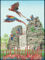Singapore Postcard Bird Paradise Macaw Flamingo - Oiseaux