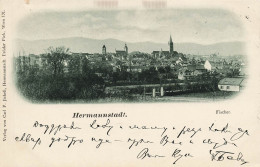 Roumanie Romania Sibiu Hermanstadt Fischer - Roemenië