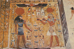 CPM..  TOMB OF KING SETHI 1313 B.C.  LE ROI OFFRANT DU VIN A RA-HOR-AKHTI  .  CARTE NON ECRITE - Andere & Zonder Classificatie