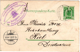 Österreich 1907, 5 H. Ganzsache M. Stpl. Reichstadt M. Voitsdorf Bienen Cachet - Storia Postale