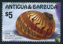 Antigua 947 A Stamp,MNH.Michel 957. Shell Atlantic Natica,1986. - Antigua En Barbuda (1981-...)
