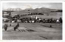 Petzigau Im Allgäu, 1941 Gebr. Sw-AK - Sonstige & Ohne Zuordnung