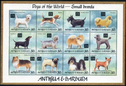 Antigua 1782 Sheet, MNH. Mi 1953-1964 ZD-bogen. Dogs Of World,1994.Small Breeds. - Antigua Und Barbuda (1981-...)