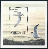 Antigua 591, MNH. Michel Bl.51. Birds 1980. Roseate Tern. - Antigua Y Barbuda (1981-...)