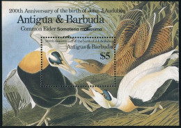 Antigua 914, MNH. Michel 924 Bl.105. John Audubon's Birds 1986. Common Eider. - Antigua En Barbuda (1981-...)