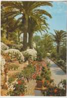 Menton  06  Carte Circulée  Vegetation Mediterraneénne - Menton