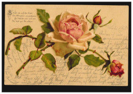 AK Rote Rosen Und Liebesgedicht: So Hold Wie Auf Den Auen, ... AMBERG 12.2.1902 - Sonstige & Ohne Zuordnung